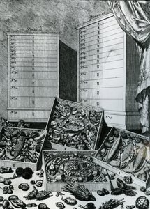 1719年に公開されたLevin St. Vincentによる「The List Tables」の表7 作： Dutch School